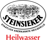 Steinsieker Logo